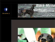 Tablet Screenshot of blackmystery.com